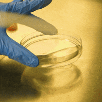 life discovery GIF by Université de Sherbrooke