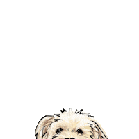 dog atlanta Sticker by teddytakesthecity