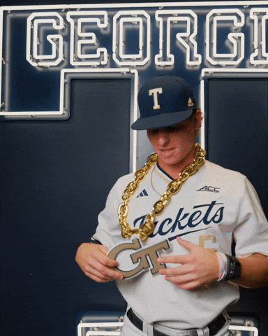 Georgia Tech Baseball GIF by Georgia Tech Yellow Jackets