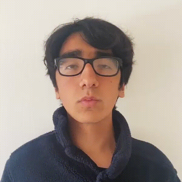 Face Wow GIF
