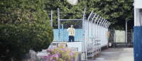 and so we put goldfish in the pool GIF by NOWNESS
