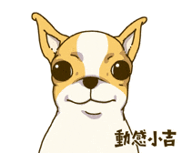 Animation Dog GIF