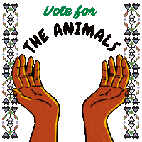 Illustrated gif. Brown hands stretched upward, cradling a wave, a tree, a bison, the Earth, all framed by an intricate Potawatomi pattern. Text, "Vote for the waters, the land, the animals, the Earth."