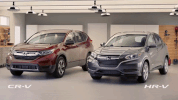 GIF by NorCal Honda Dealers