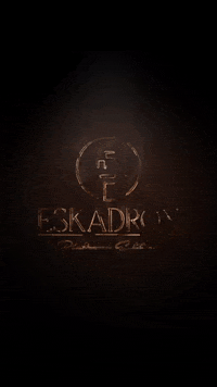 Eskadron GIF by Pikeur