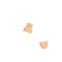 Eyebrow Brow Goals Sticker by Secondate