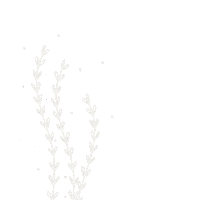 White Line Flowers Sticker