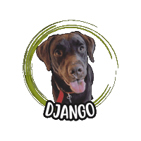 Labrador Retriever Sticker by Asilo per cani Dog'sMind