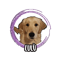 Golden Retriever Lulu Sticker by Asilo per cani Dog'sMind