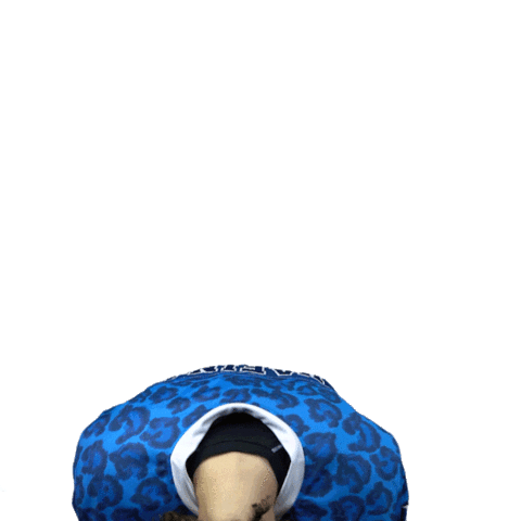 Dynamoneva Sticker by HC Dynamo Saint Petersburg