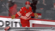 Happy Red Wings GIF by NHL