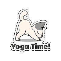 operaair cat yoga opera inara Sticker