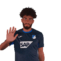 Kevin Akpoguma Sport Sticker by TSG Hoffenheim
