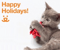 Save Them All Merry Christmas GIF by Best Friends Animal Society