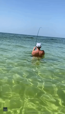 'He Got It, Dude!' Dolphin Steals Fisherman's Catch