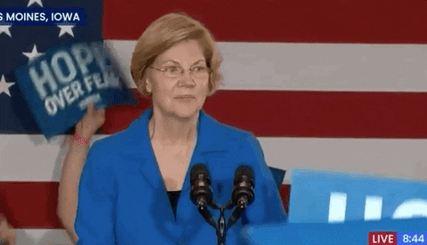 Elizabeth Warren Smile GIF by Election 2020