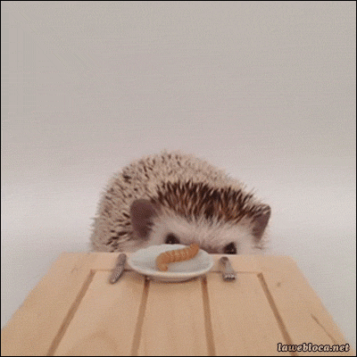 lunch eating GIF