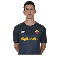 Sticker Boer Sticker by AS Roma