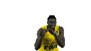 Ewe Baskets Tai Sticker by EWE Baskets Oldenburg