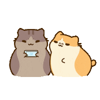 BichiMao cat bichimao couplememes Sticker