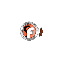 Futsal Salinas Sticker by Grupo Fergom