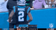 Carolina Panthers Football GIF by NFL