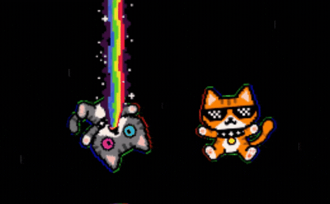 Cat Stay Weird GIF by Weird Cats