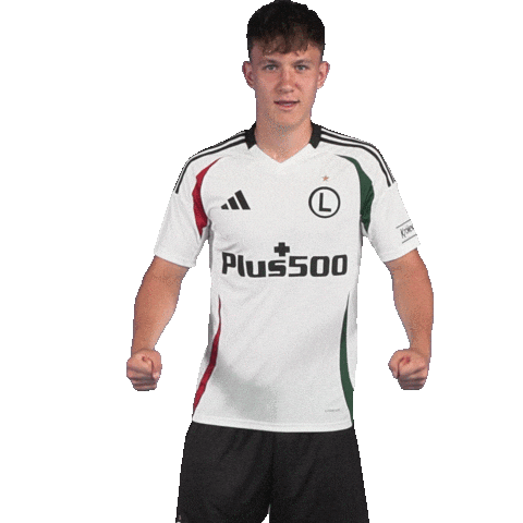 LegiaWarsaw giphyupload football soccer warsaw Sticker