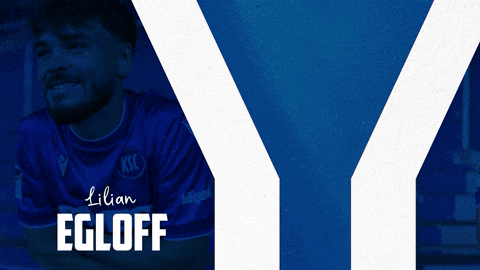 Soccer Bundesliga GIF by Karlsruher SC