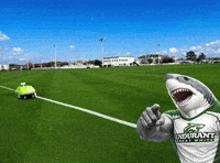 Football Field GIF by ENDURANT TURF PAINT