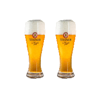 Party Beer Sticker by steinerbier