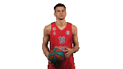 Sport Basketball Sticker by CSKA Moscow