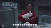 so random snl GIF by Saturday Night Live