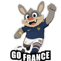 France Win Sticker