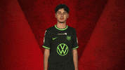 Wolfsburg Fabio GIF by Bundesliga