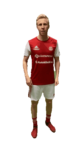 Sticker by Ilves-Kissat