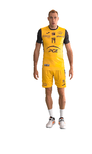 Atanasijevic Sticker by PGE Skra Bełchatów