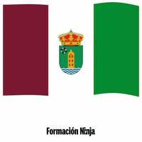 Castilla-La Mancha Flag GIF by Formación Ninja