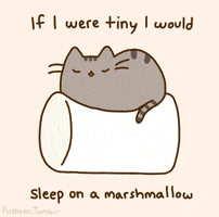 kitty sleep GIF by Pusheen