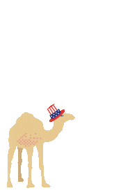 4Th Of July Fireworks Sticker by Side Hustle Brews