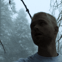 violetmaimbourg cannonball manorofanimals violetmaimbourg GIF