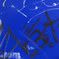 violetmaimbourg cannonball manorofanimals violetmaimbourg GIF