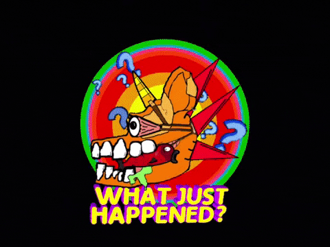 What Just Happened Wtf GIF