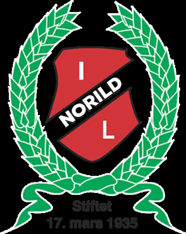 norild_official giphygifmaker norild GIF