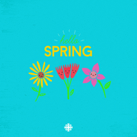 spring GIF by CBC
