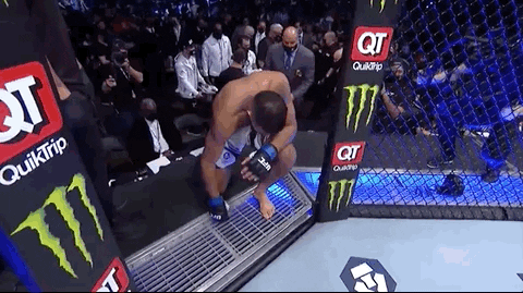 Sport Mma GIF by UFC