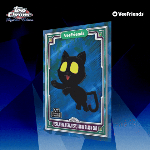 Collect Black Cat GIF by VeeFriends