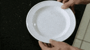 GIF by EXPELLED
