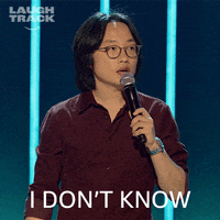 Stand Up GIF by Prime Video Comedy