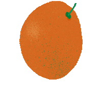 Jump Orange Sticker by Tasman Bay Food Co.